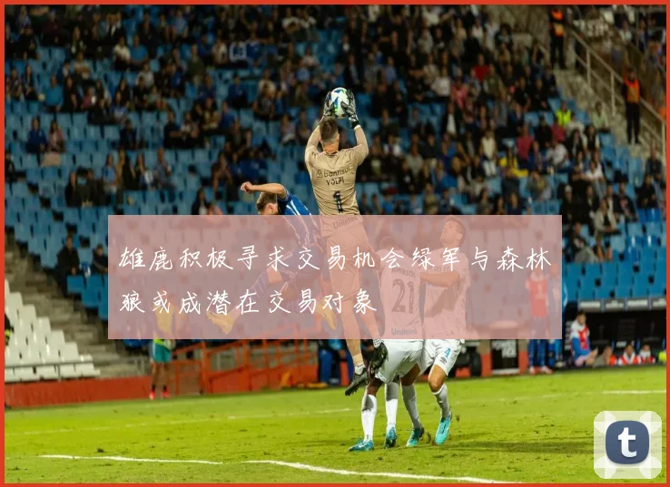 雄鹿积极寻求交易机会绿军与森林狼或成潜在交易对象